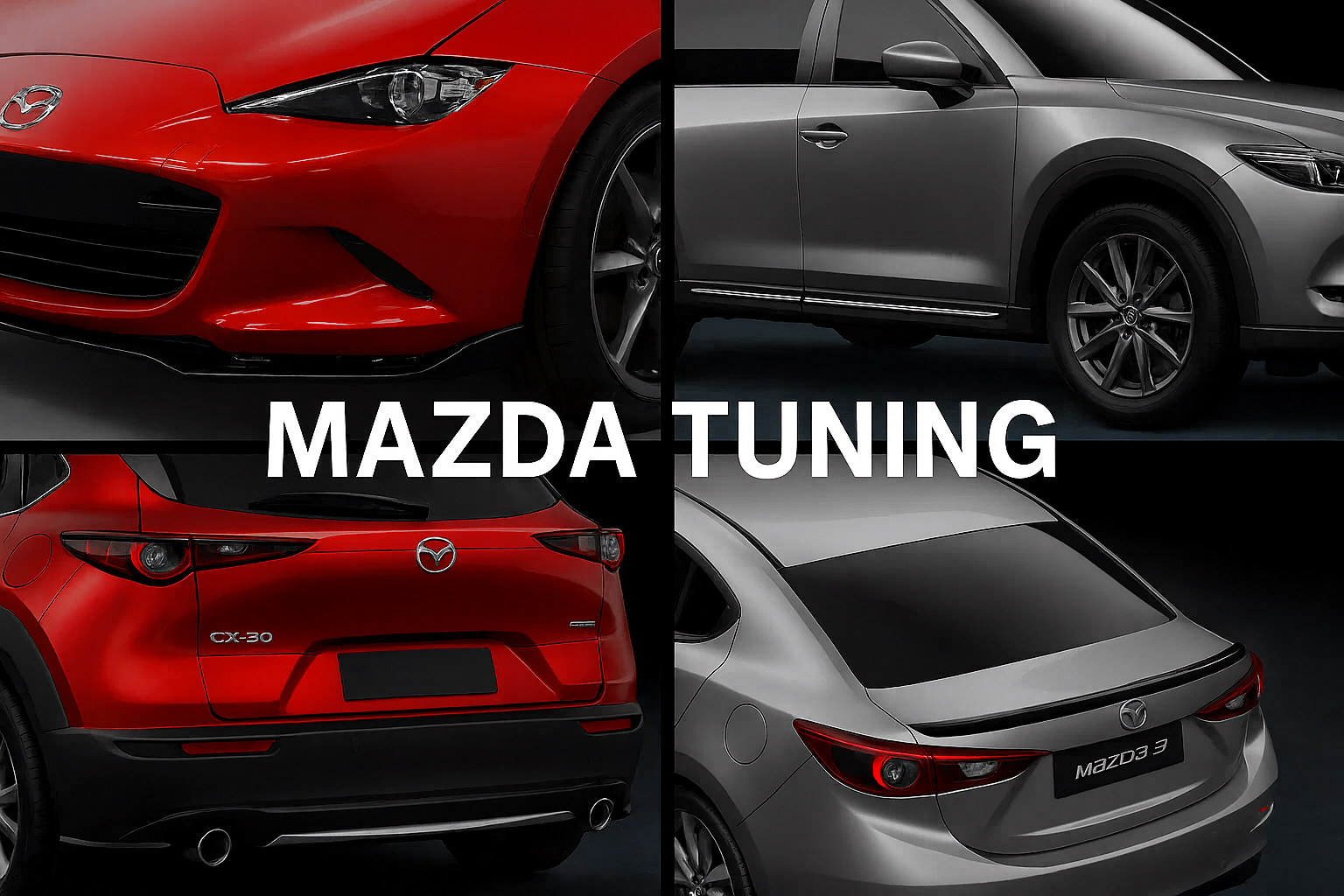 Abbildung Model Optisches Tuning