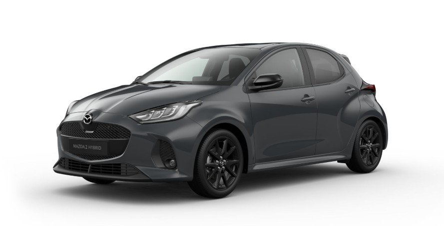 Mazda 2 Hybrid 1.5L VVT-i 116 PS CVT Homura Teil-Leder LED EPH RFK SHZ LHZ MRCC