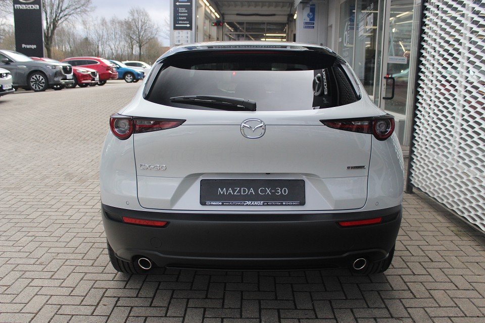 Fahrzeugabbildung Mazda CX-30 M-Hybrid G-140 AT Nagisa *Aktion* *Sofort* Teil-Leder el.Sitzv. BOSE SHZ RFK