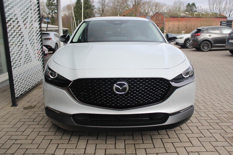 Fahrzeugabbildung Mazda CX-30 M-Hybrid G-140 AT Nagisa *Aktion* *Sofort* Teil-Leder el.Sitzv. BOSE SHZ RFK