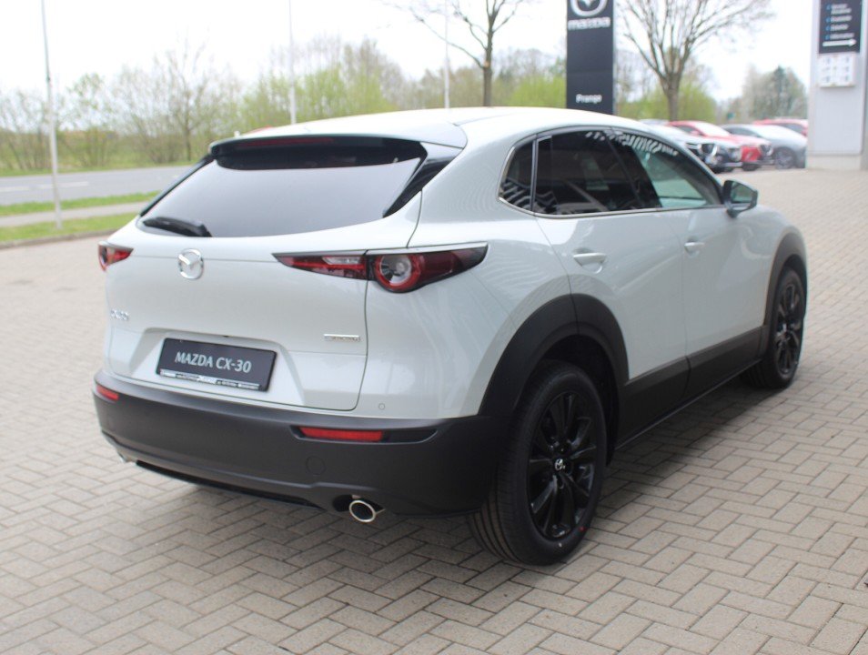 Fahrzeugabbildung Mazda CX-30 M-Hybrid G-140 AT Homura *Aktion* *Sofort* NAVI ACAA SHZ HUD RFK VOLL-LED