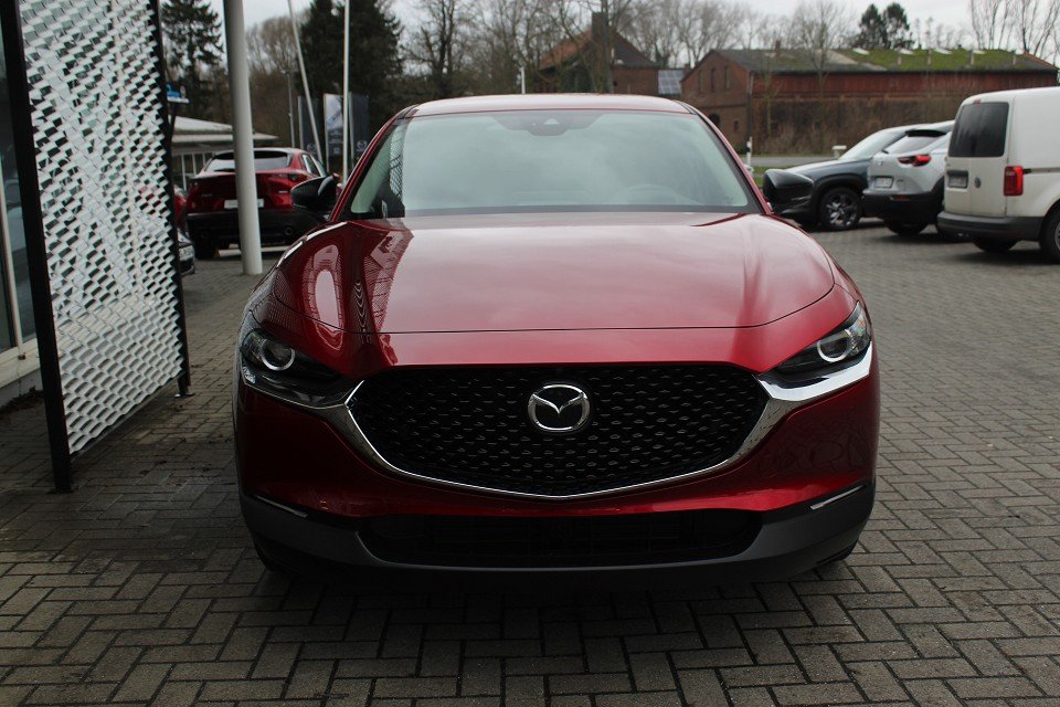 Fahrzeugabbildung Mazda CX-30 M-Hybrid G-140 Homura *Sofort*Aktion* NAVI ACAA SHZ HUD RFK VOLL-LED