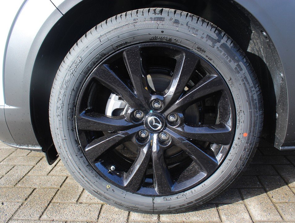 Fahrzeugabbildung Mazda CX-30 M-Hybrid G-140 Nagisa *Aktion* Teil-Leder el.Sitzv. BOSE SHZ RFK