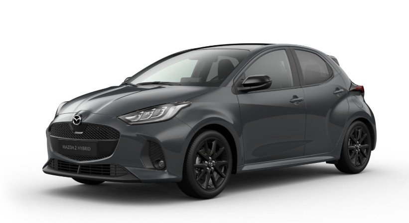 Mazda 2 Hybrid 1.5L VVT-i 116 PS CVT Homura Plus PANORAMA NAVI Teil-Leder LED RFK EPH