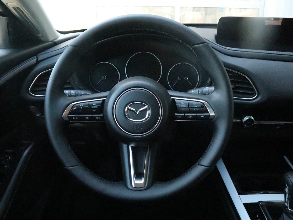 Fahrzeugabbildung Mazda CX-30 G-140 AT Exclusive-Line *Sofort* 360° MATRIX BOSE LHZ