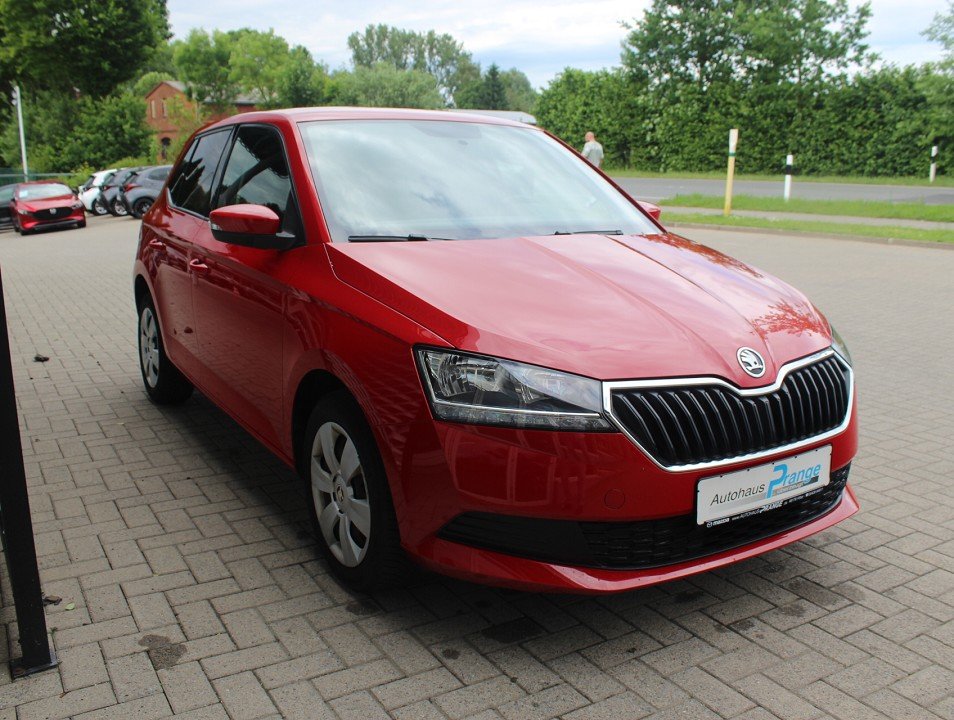 Fahrzeugabbildung SKODA Fabia 1.0 TSI Ambition Klima Radio Bluetooth